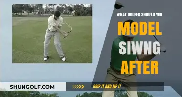 Master Your Golf Swing: Top Pros to Model and Why