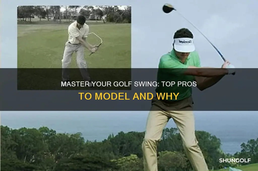 what golfer should you model siwng after