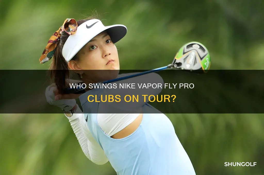 what golfer uses nike vapor fly pro clubs
