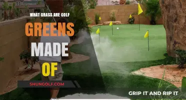 Unveiling the Turf: What Grass Types Golf Greens Are Made Of