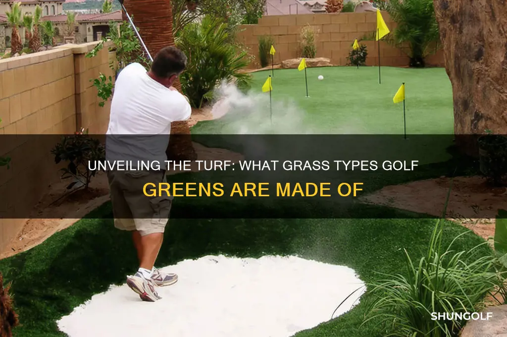 what grass are golf greens made of
