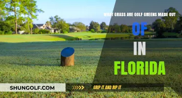 Florida Golf Greens: Uncovering the Grass Varieties Used on Courses
