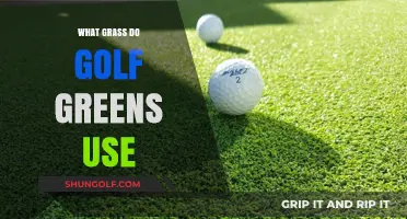 Exploring the Lush World of Golf Greens: A Guide to the Perfect Turf