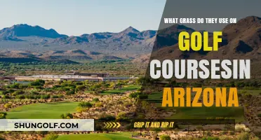 Unveiling Arizona's Golf Course Greens: A Guide to the Perfect Turf