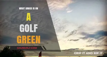 Unveiling the Perfect Turf: What Grass Covers a Golf Green?