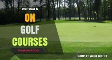 Exploring the Lush Greens: What Grass Types Golf Courses Use