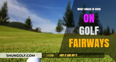 Exploring the Lush Greens: Types of Grass on Golf Fairways