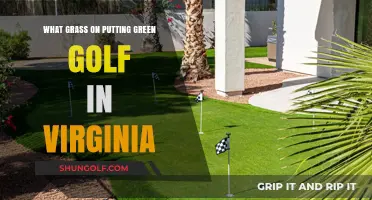 Virginia's Putting Greens: Choosing the Perfect Grass for Smooth Putts