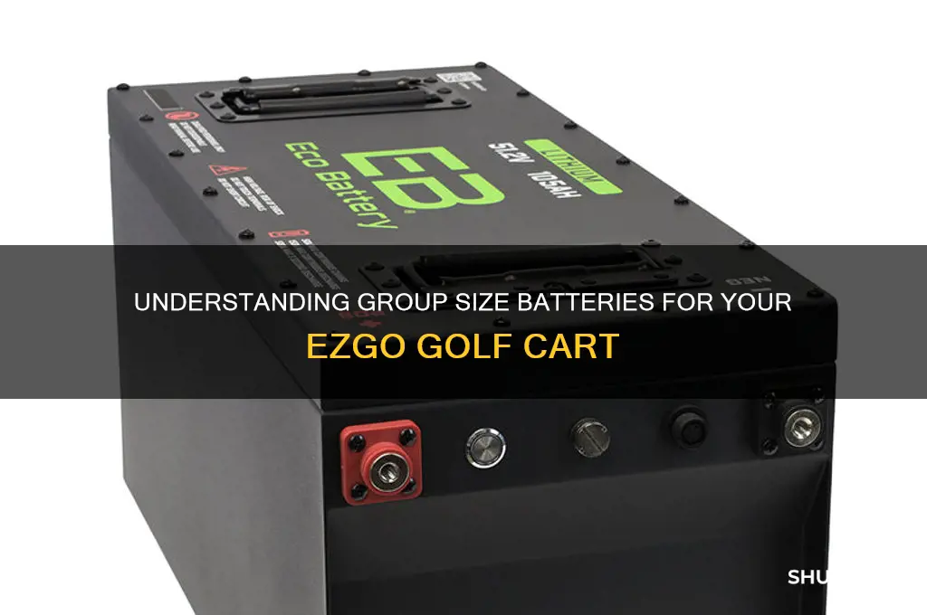 what group size battery is and ezgo golf car