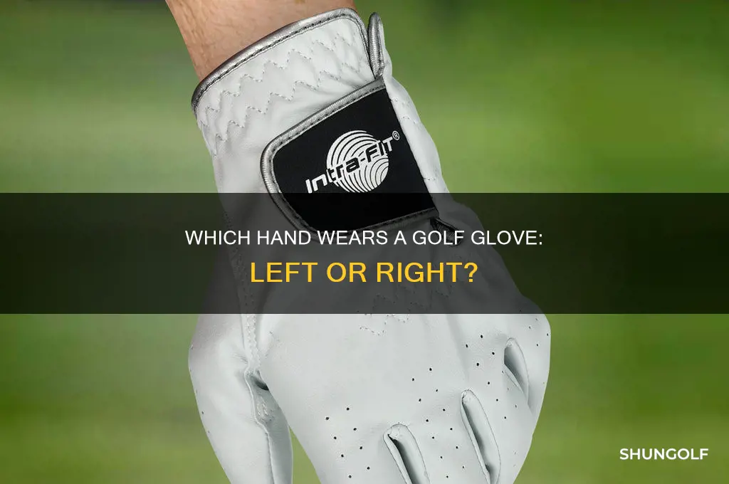 what hand do golf gloves go on