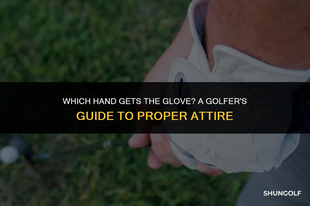 what hand do you use a golf glove on