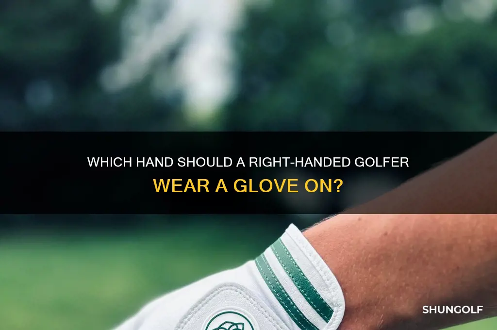 what hand does a right handed golfer where a glove