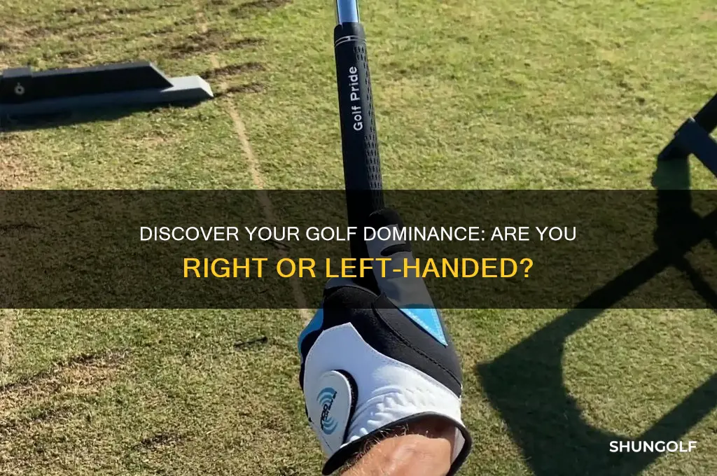 what handed golfer am i