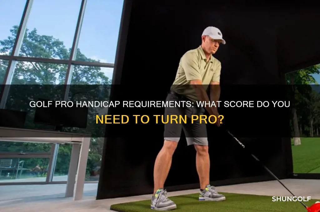 what handicap do you need to be a golf pro