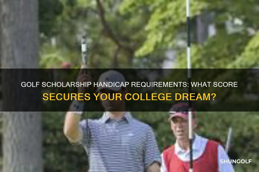 what handicap do you need to get a golf scholarship