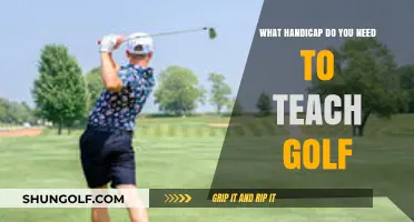 Golf Teaching Requirements: What Handicap Do You Need to Instruct?