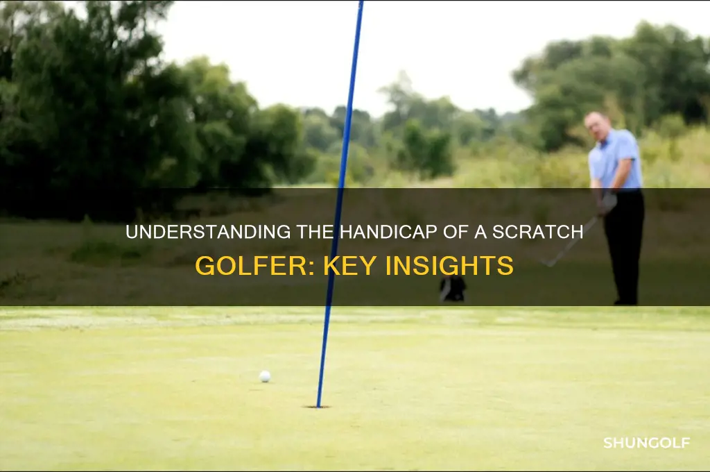 what handicap does a scratch golfer have