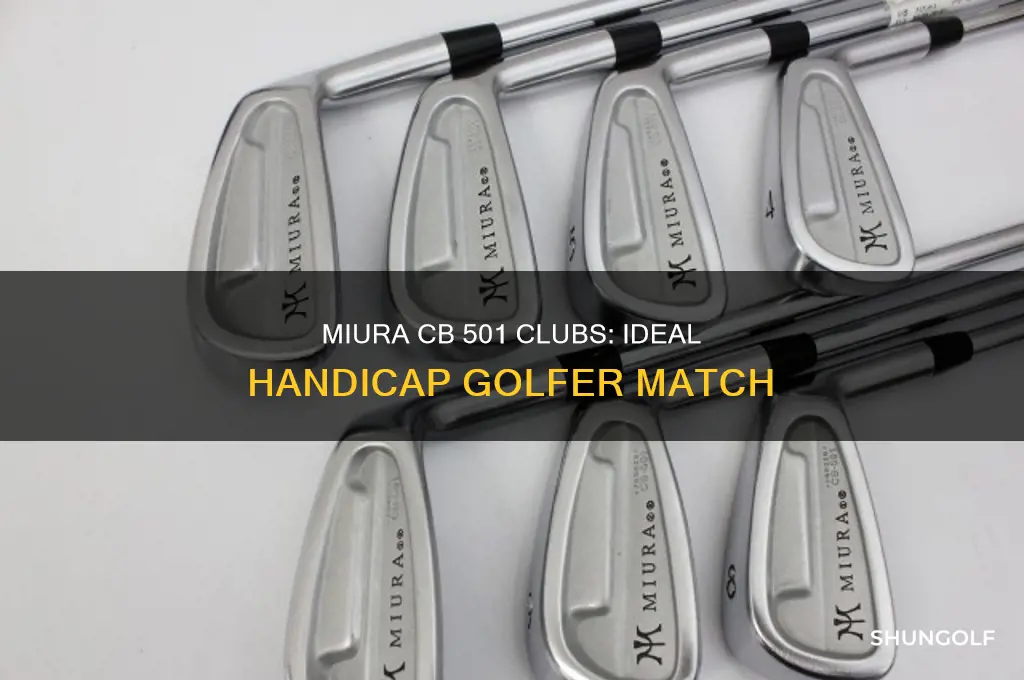 what handicap golfer would use miura cb 501 clubs