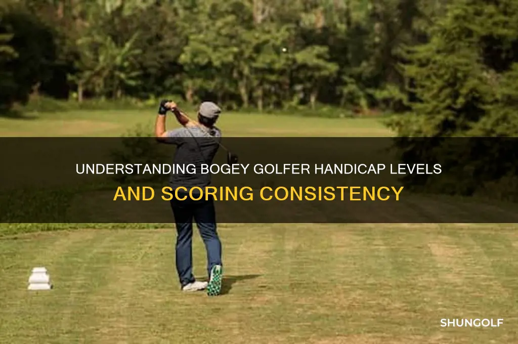 what handicap is a bogey golfer