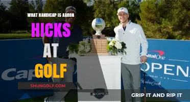 Aaron Hicks' Golf Handicap: Unveiling His Skill Level on the Course