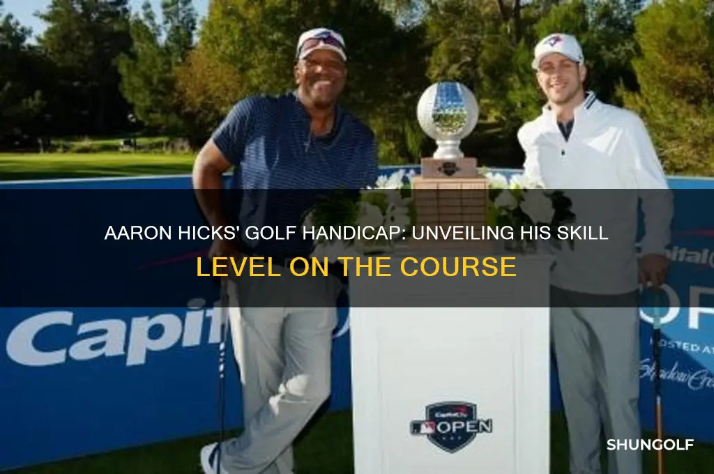 what handicap is aaron hicks at golf