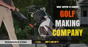 The Rise and Fall of Chariot Golf: What Happened?
