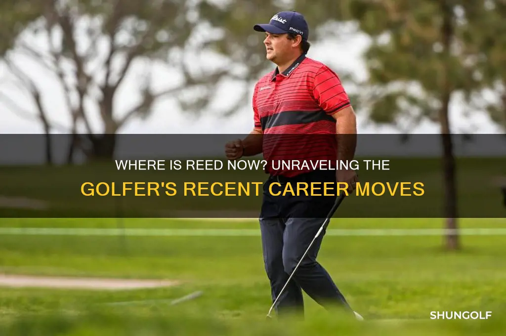 what happend to reed the golfer