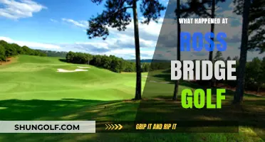 Unraveling the Mystery: Ross Bridge Golf Incident Explained