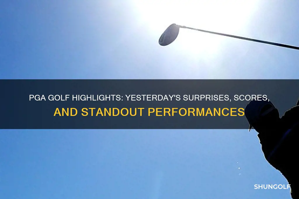 what happened in pga golf yesterday