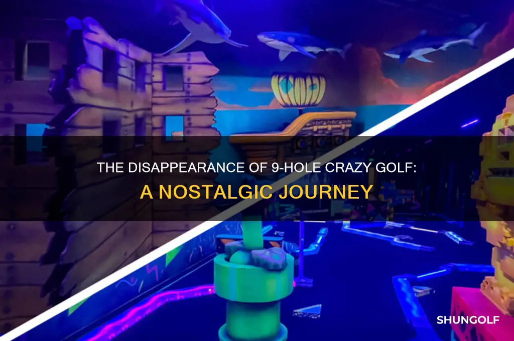 what happened to 9 hole crazy golf