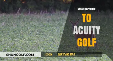 What Happened to Acuity Golf: Unraveling the Brand's Sudden Disappearance