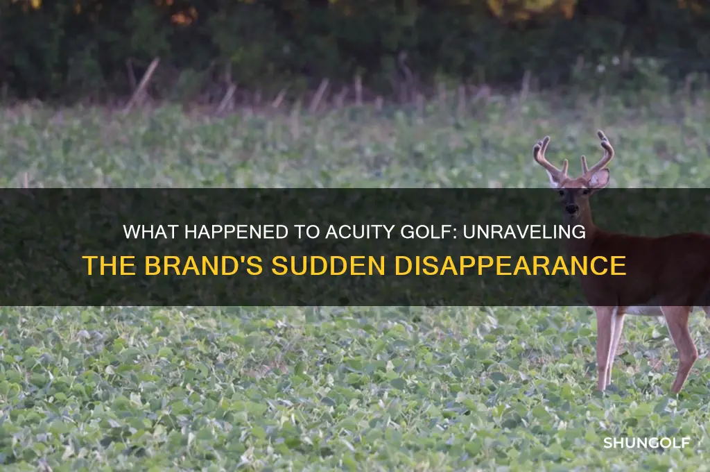 what happened to acuity golf