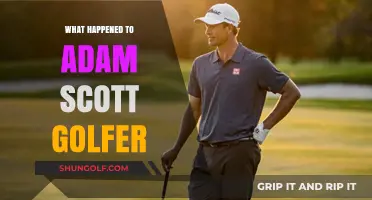 Adam Scott's Golf Career: Recent Struggles and Comeback Efforts