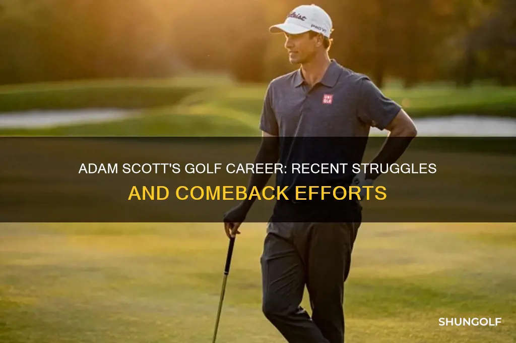 what happened to adam scott golfer