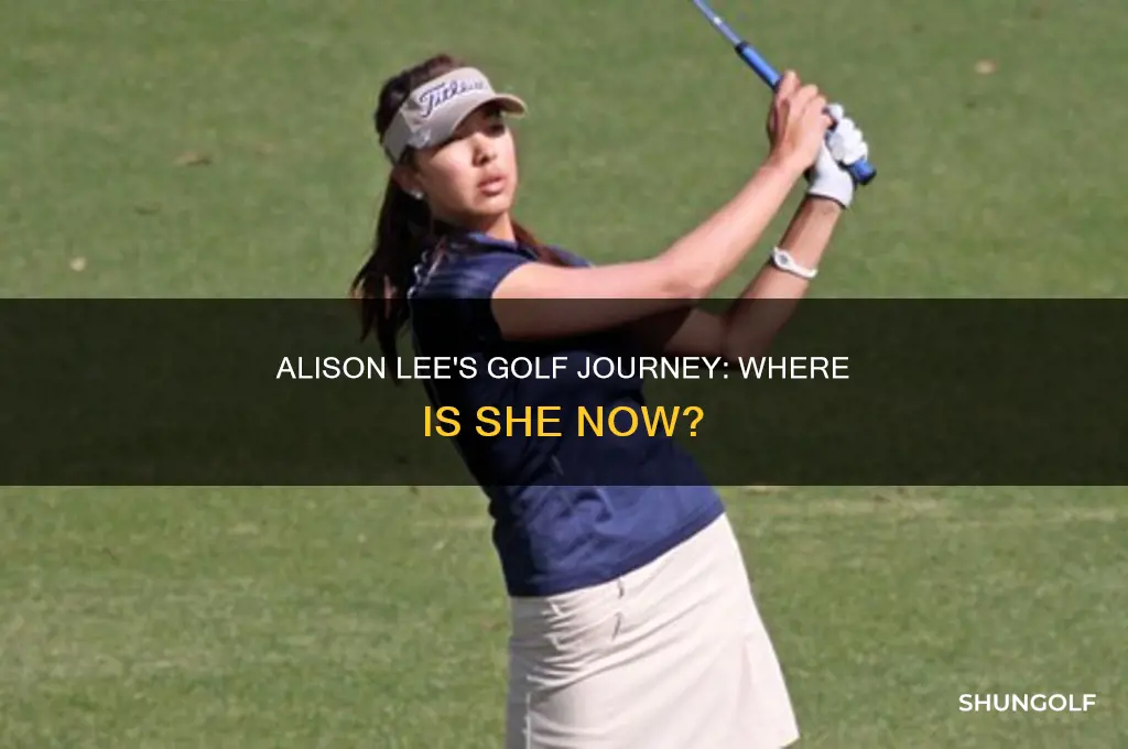 what happened to alison lee golfer