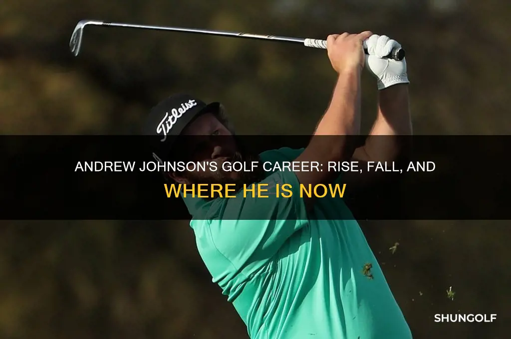 what happened to andrew johnson the golfer