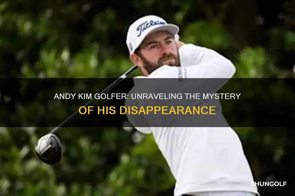 what happened to andy kim golfer