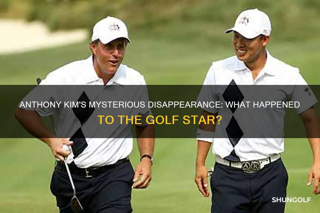 what happened to anthony kim the golfer
