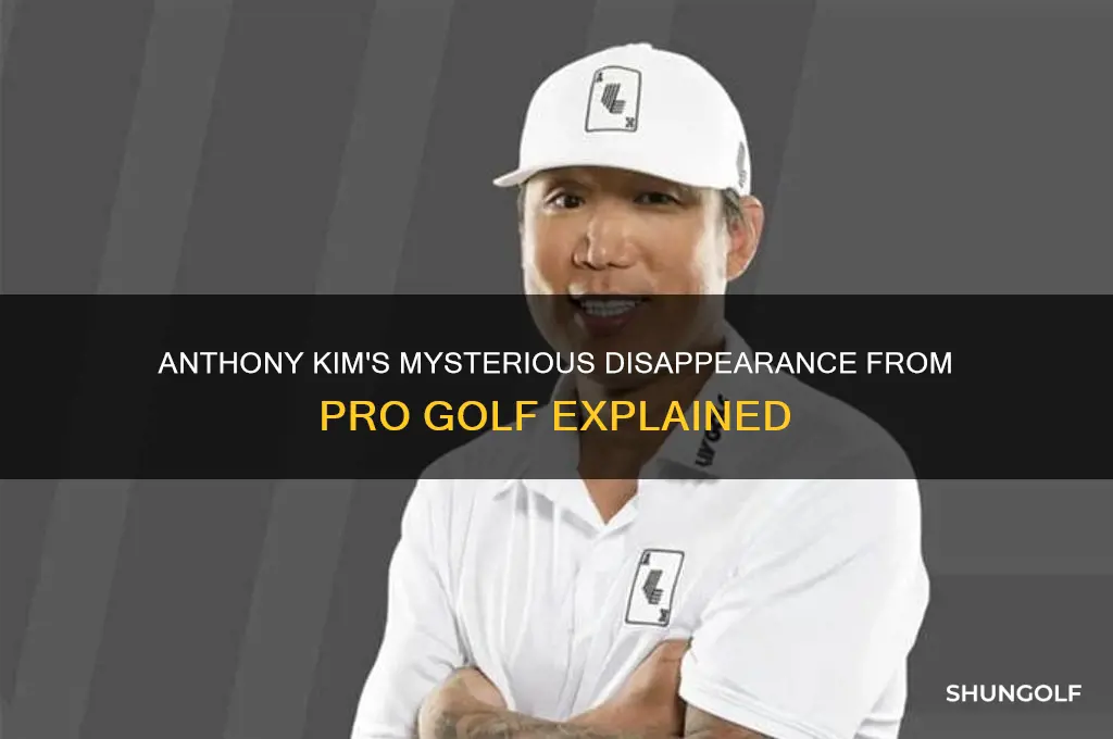 what happened to anythony kim pro golfer