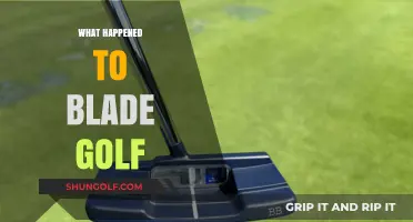 The Rise and Fall of Blade Golf: A Brand's Disappearance