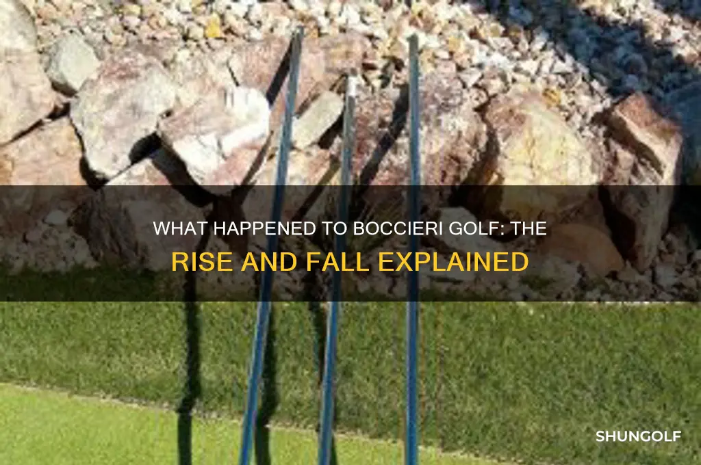 what happened to boccieri golf