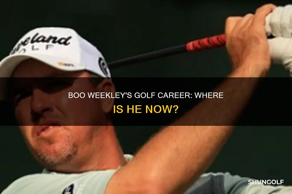 what happened to boo weekley golfer
