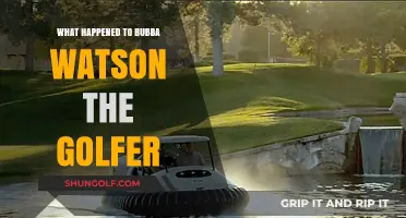 Bubba Watson's Golf Career: Recent Struggles and Comeback Efforts