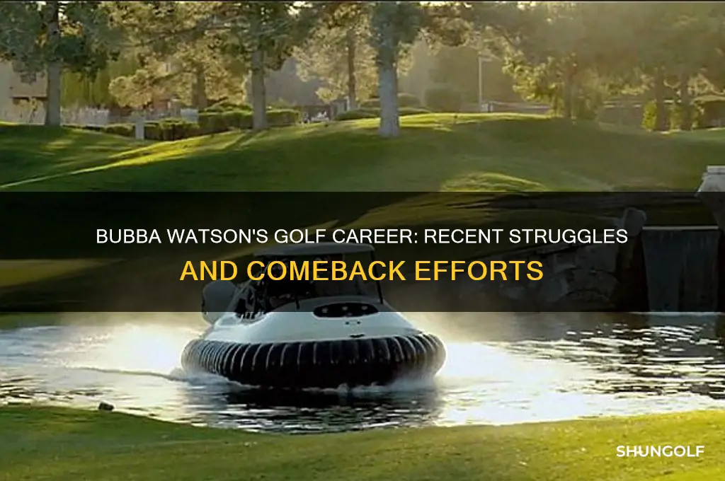 what happened to bubba watson the golfer