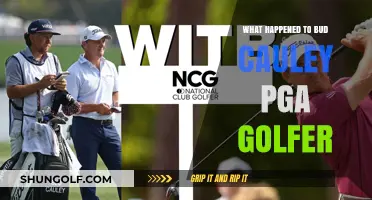 Bud Cauley's PGA Journey: From Rising Star to Sudden Disappearance