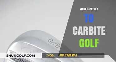 The Rise and Fall of Carbite Golf: What Really Happened?