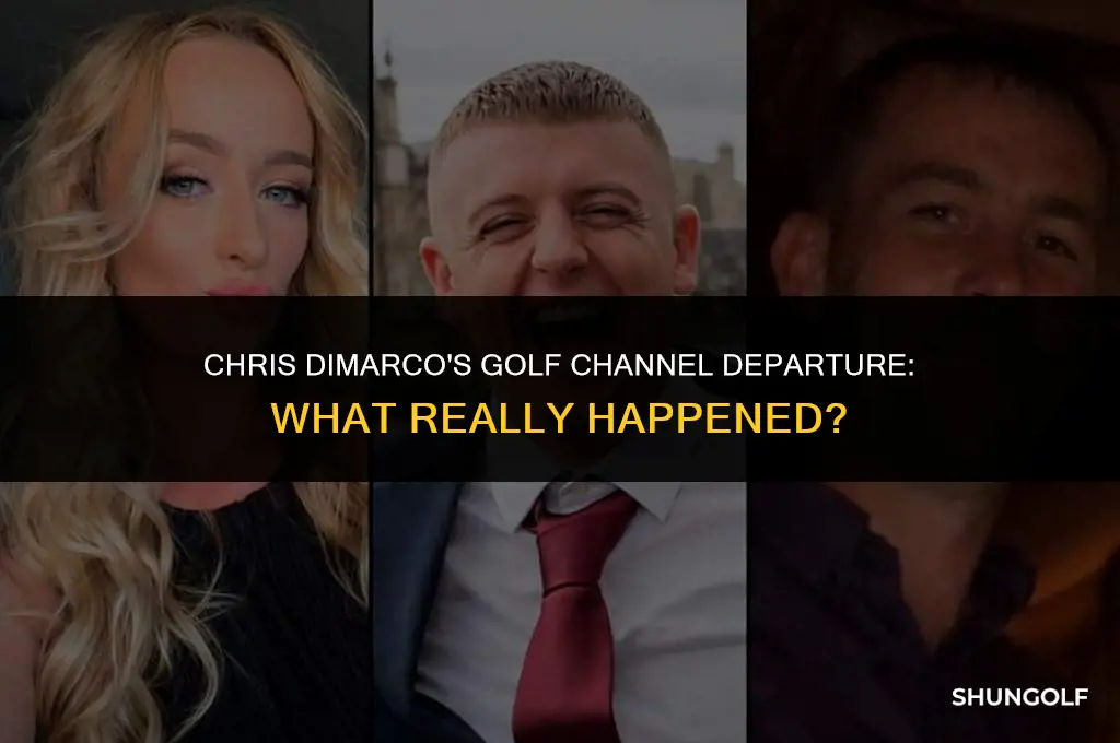 what happened to chris dimarco on golf channel