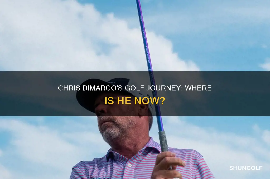 what happened to chris dimarco pro golfer