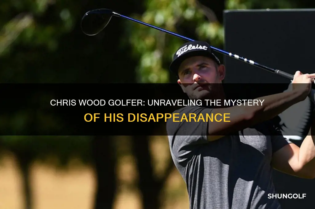 what happened to chris wood golfer