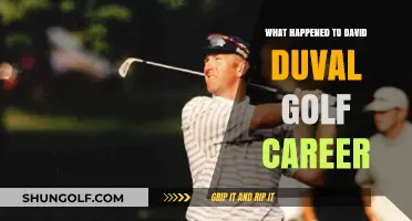 David Duval's Golf Career: Rise, Fall, and Legacy Explored